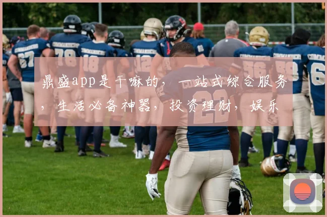 鼎盛app是干嘛的，一站式综合服务，生活必备神器，投资理财，娱乐资讯，便捷生活三合一