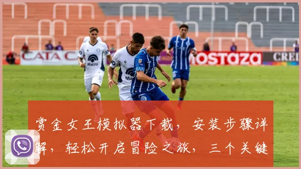 赏金女王模拟器下载，安装步骤详解，轻松开启冒险之旅，三个关键步骤，必看