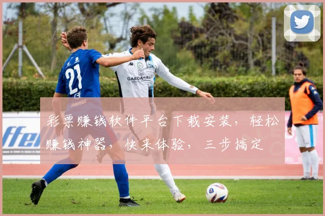 彩票赚钱软件平台下载安装，轻松赚钱神器，快来体验，三步搞定